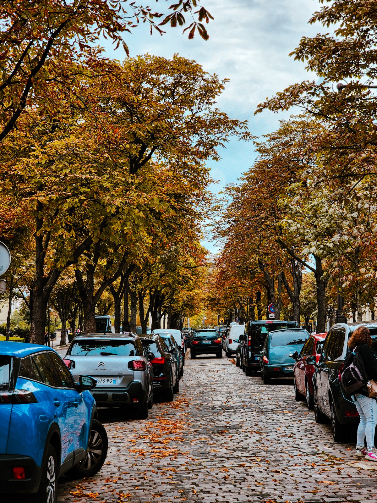 Cobblestone urban street lined with autumn-colored trees